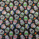 Close-up of colorful 1