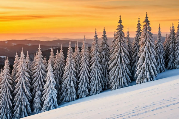 Order Update & Hot Deals at HD Welding Hats!