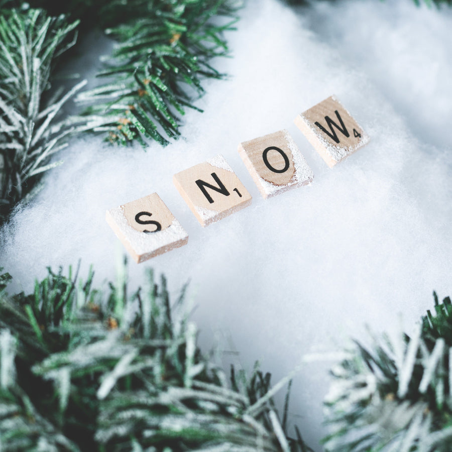 Winter 2026 50% Off BOGO