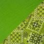 Lime w/ Lime Bandanna Band & Brim