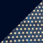 Navy w/White Stars 2 Tone Cotton Welding Cap