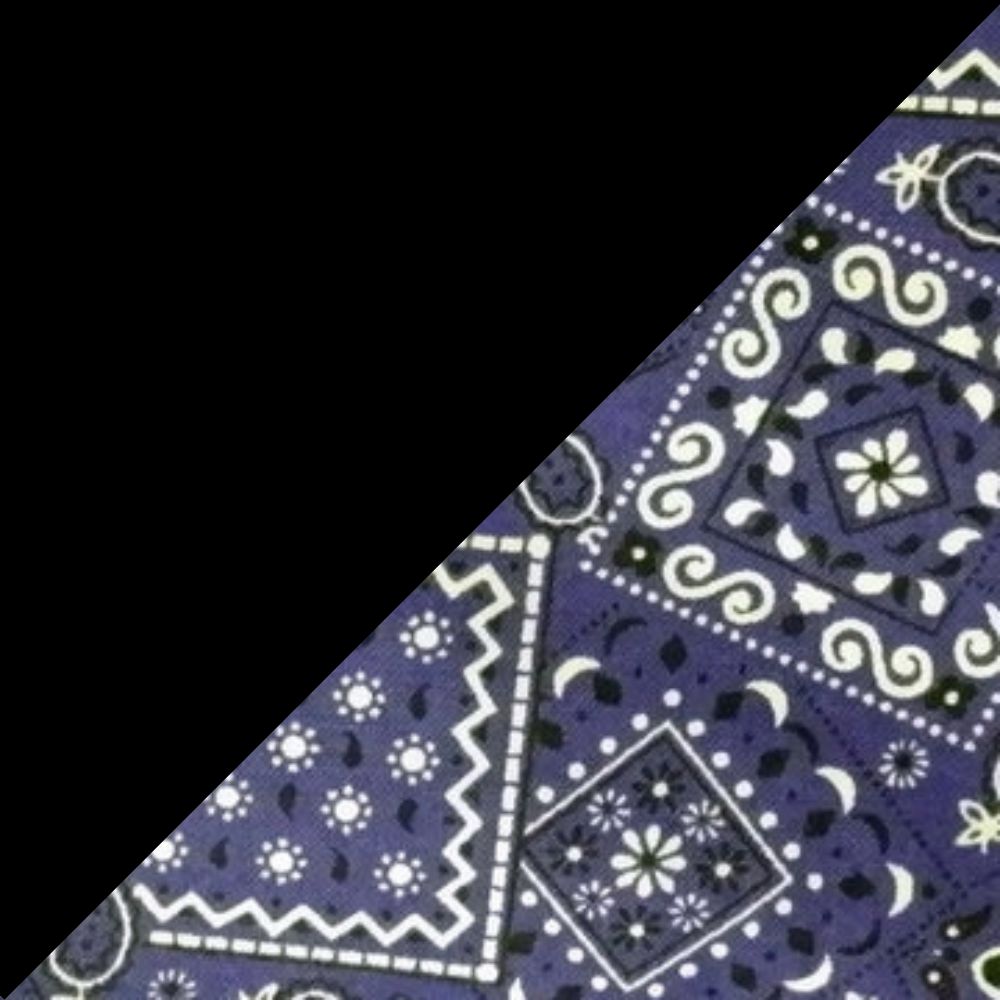 Black w/ Purple Bandanna Band & Brim