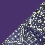 Purple w/ Purple Bandanna Band & Brim