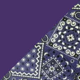 Purple Bandanna 2 Tone Cotton Welding Cap |  HD Welding Hats
